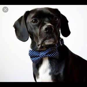 Meet your Posher, Tong